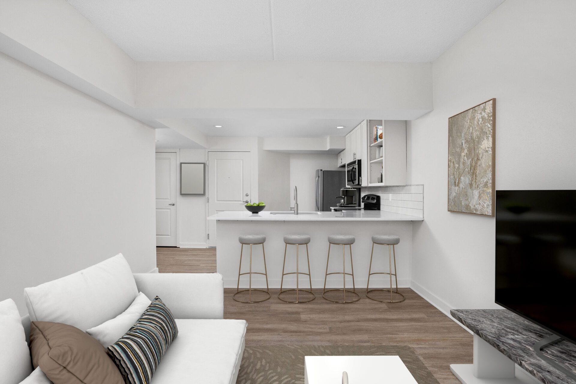Luxury Apartments with Sofa, Kitchen Top, and TV Luxury Apartments with Sofa, Kitchen Top, and TV